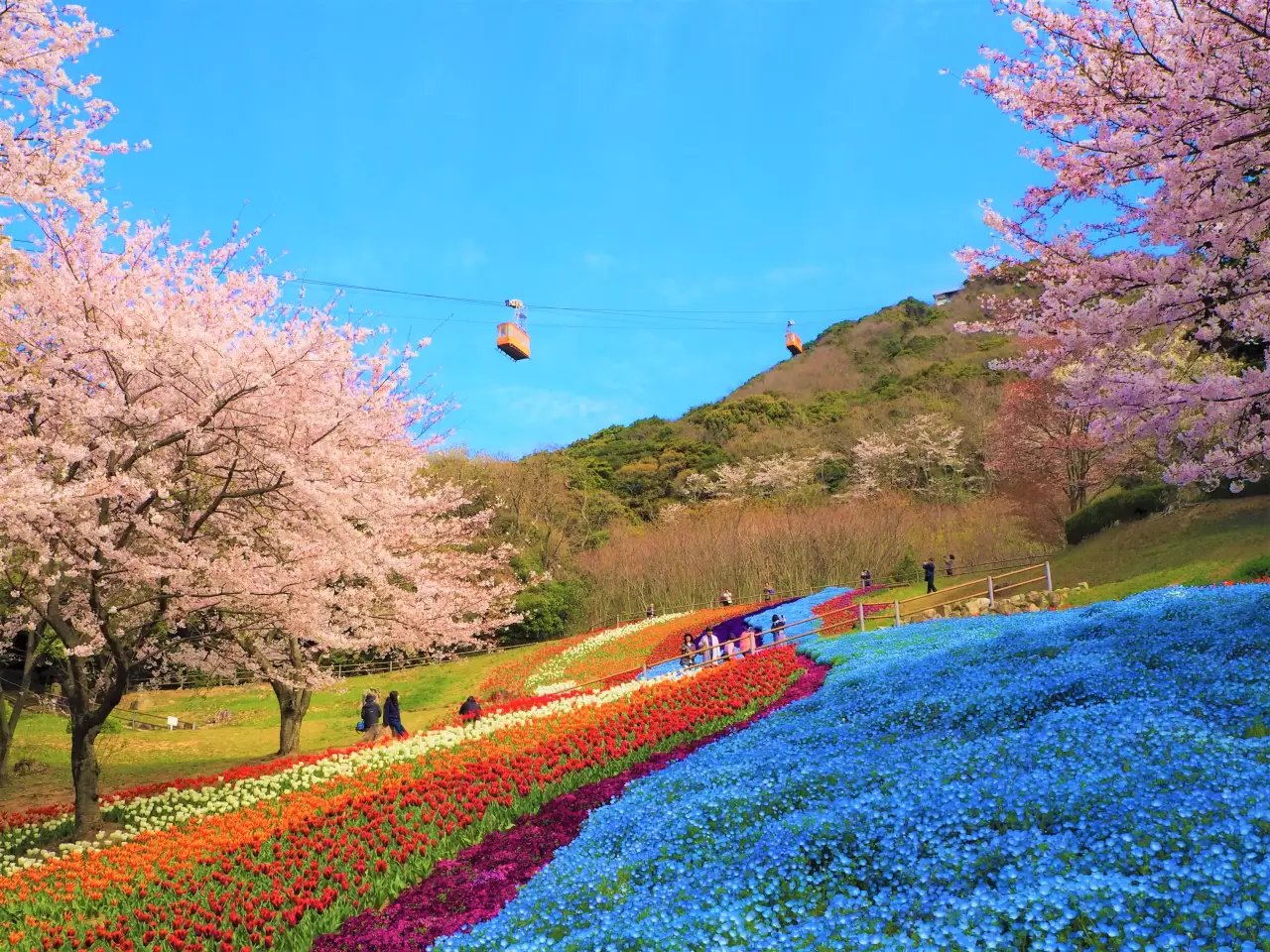 🏞️ 불의 산 공원(히노야마 코엔) 이미지 9